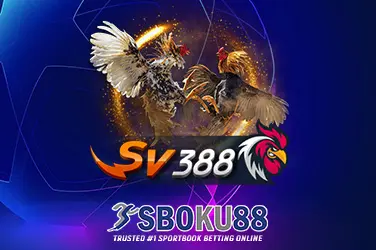 Bos789